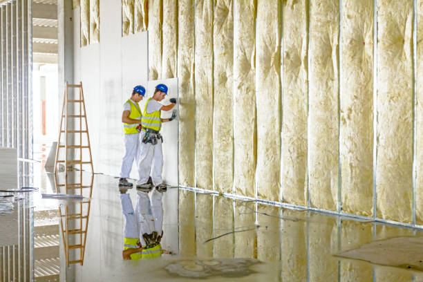 Best Insulation Installation Services in Plymouth, PA